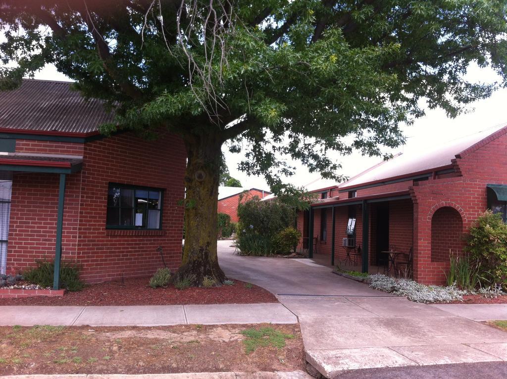 Mansfield Travellers Lodge Extérieur photo